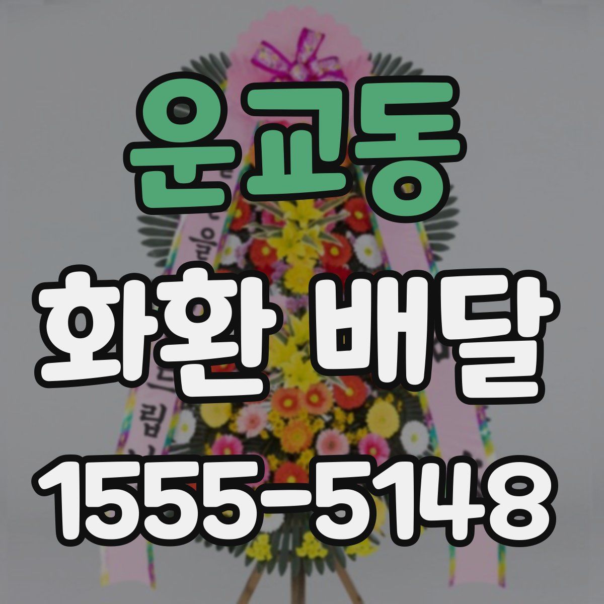 운교동 화환 배달