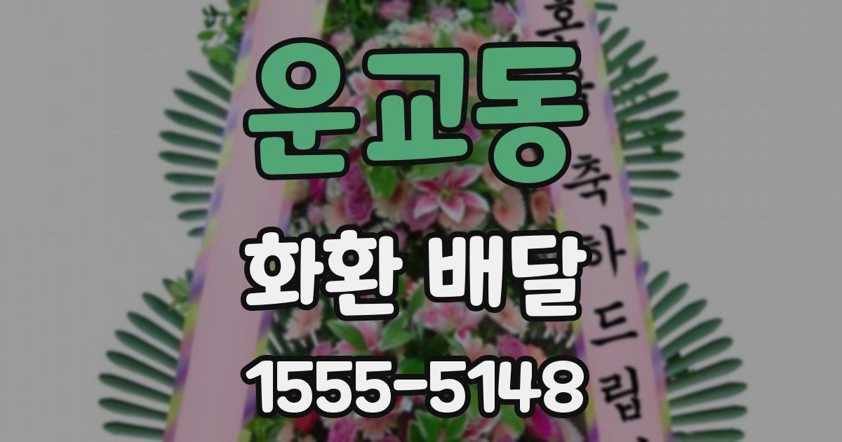 운교동 화환 배달