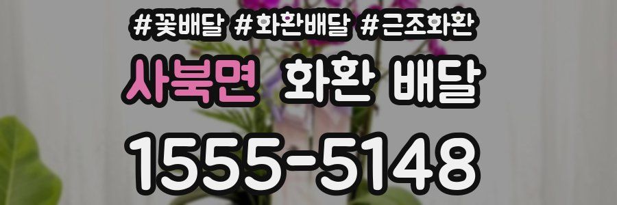 사북면 화환 배달