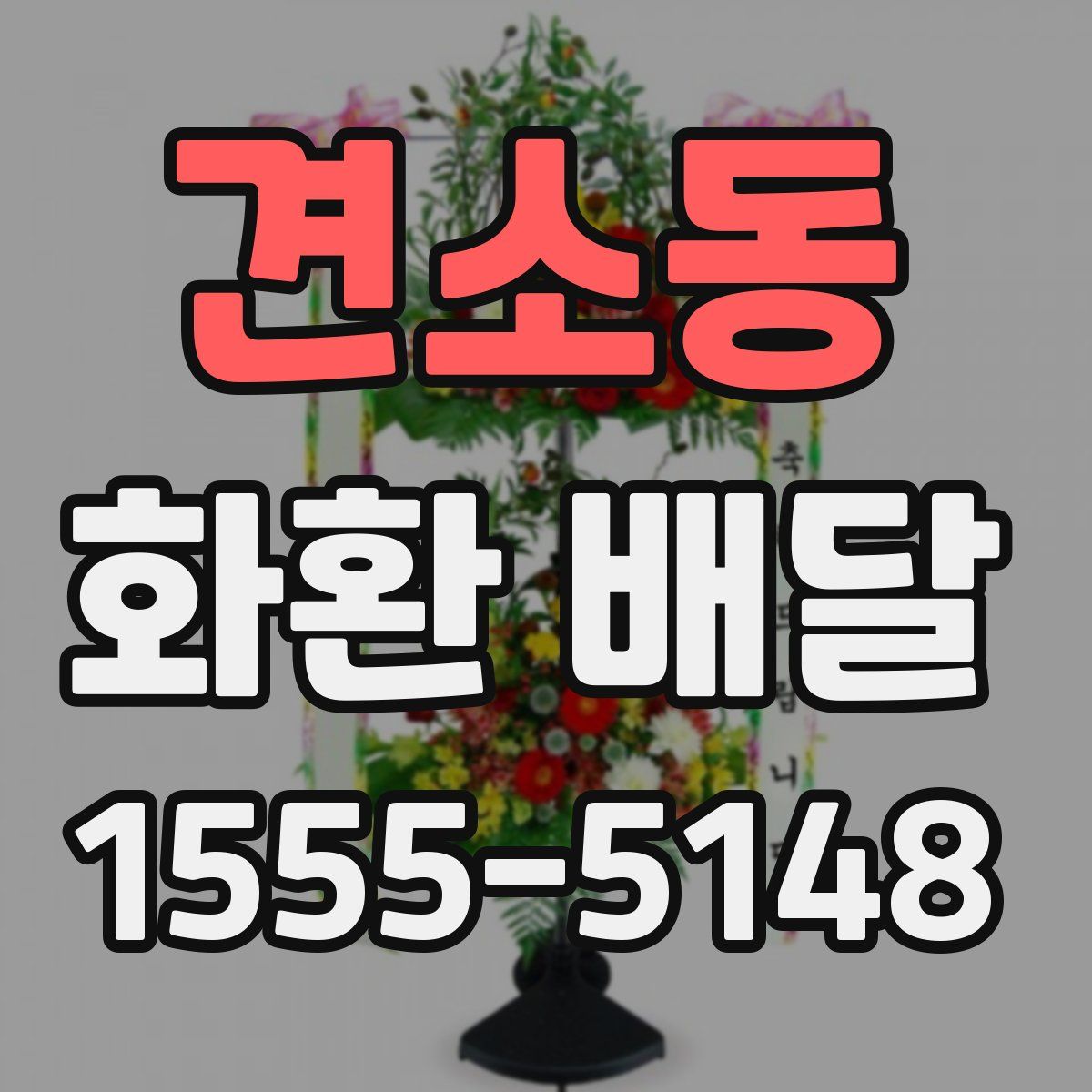견소동 화환 배달