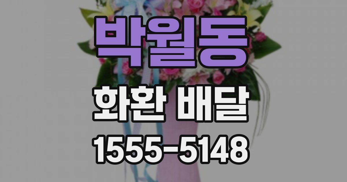 박월동 화환 배달