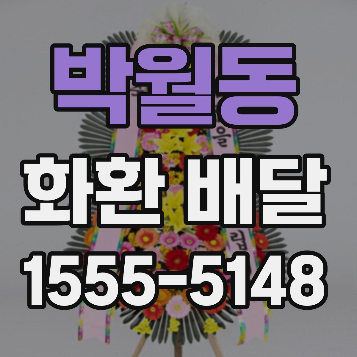 박월동 화환 배달