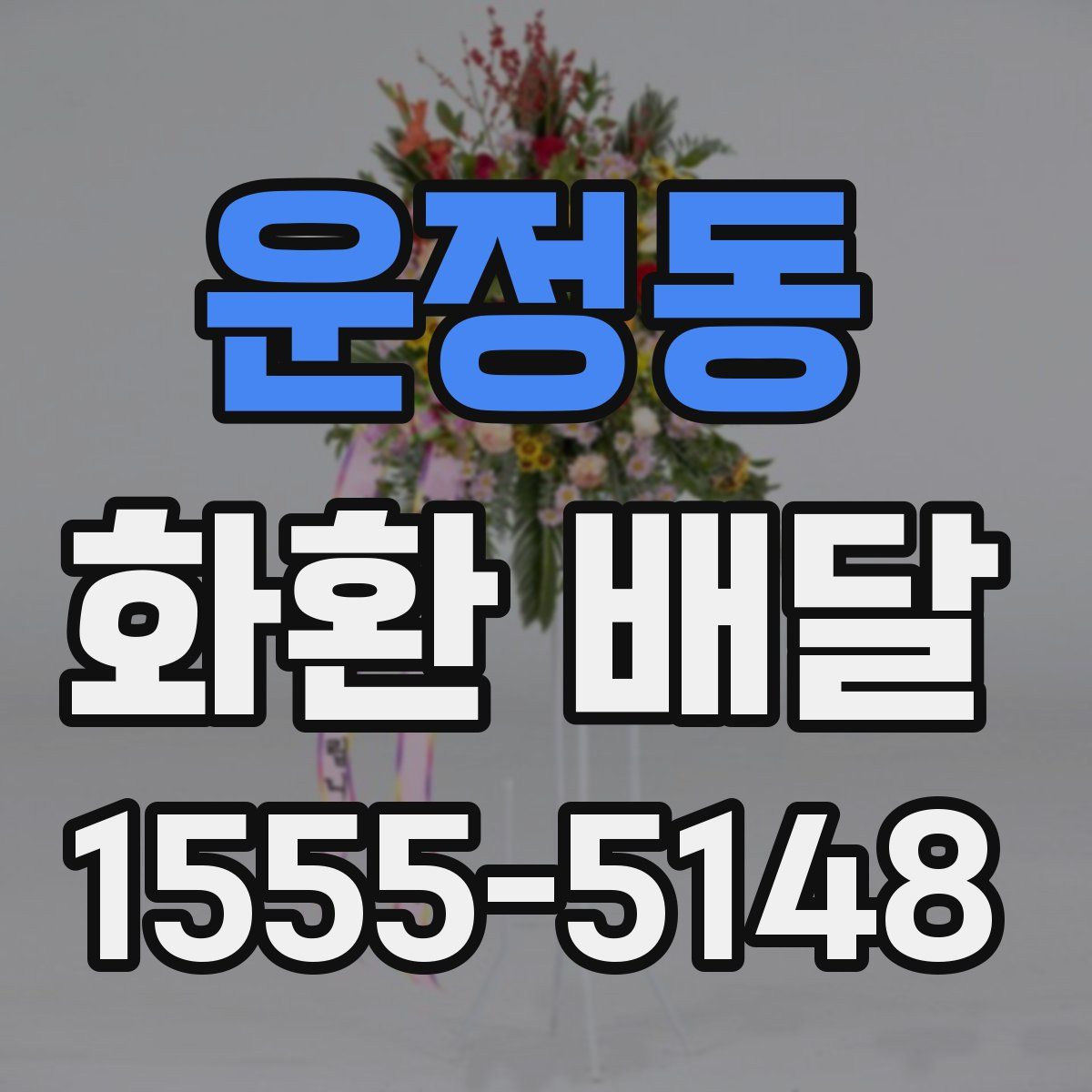 운정동 화환 배달