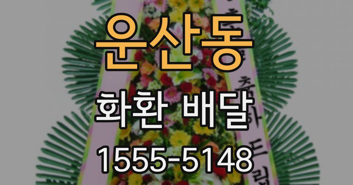 운산동 화환 배달