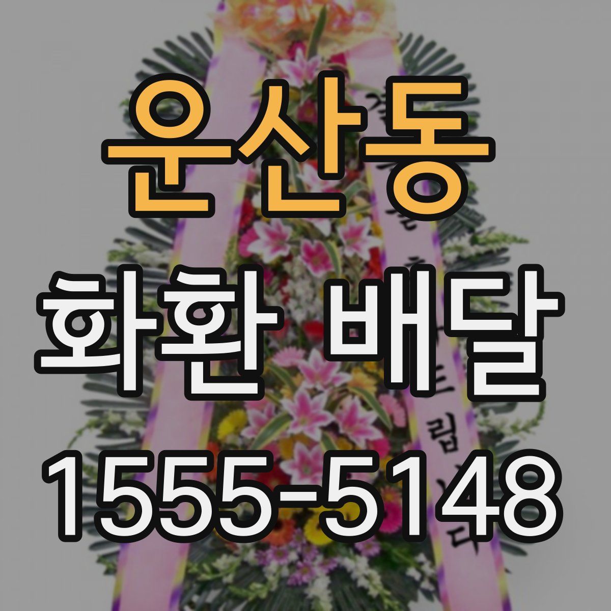 운산동 화환 배달