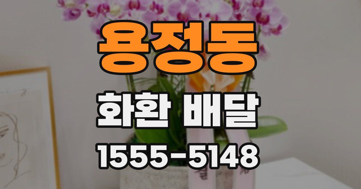 용정동 화환 배달