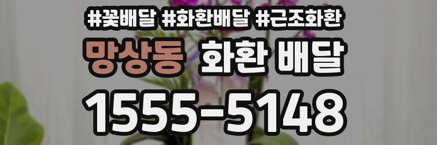망상동 화환 배달