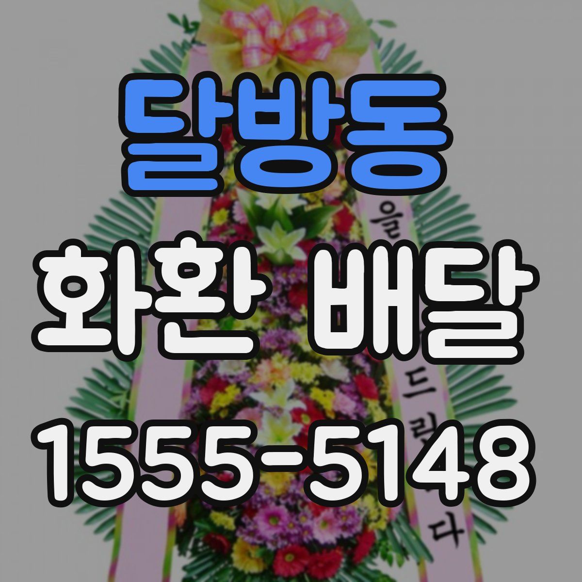달방동 화환 배달