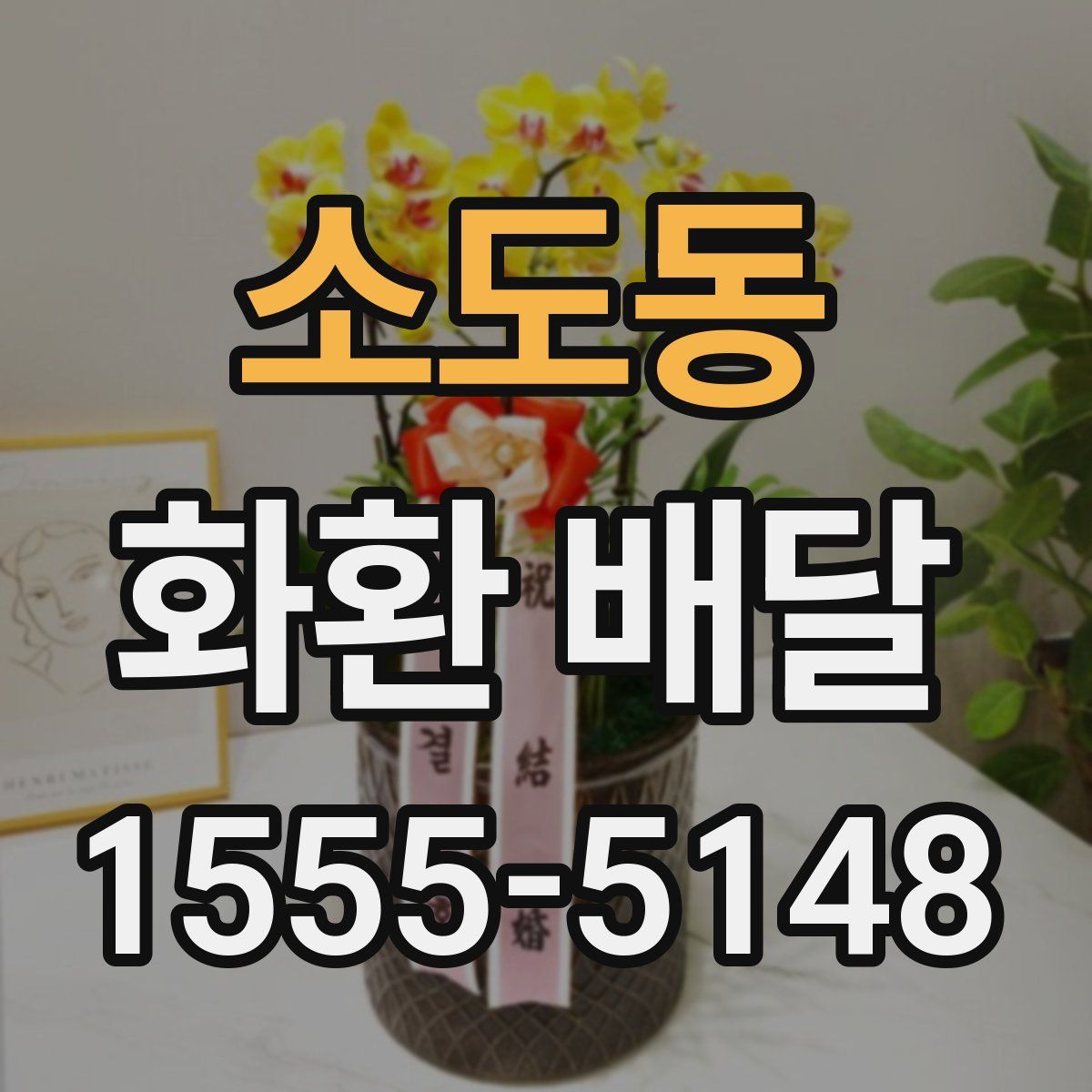 소도동 화환 배달
