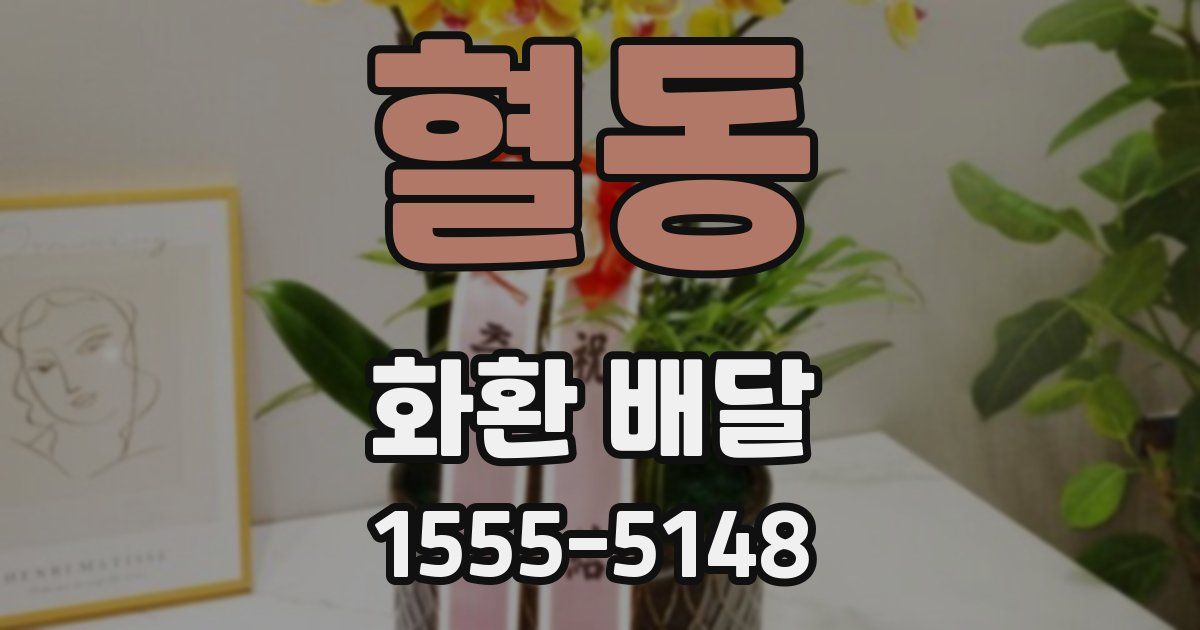 혈동 화환 배달