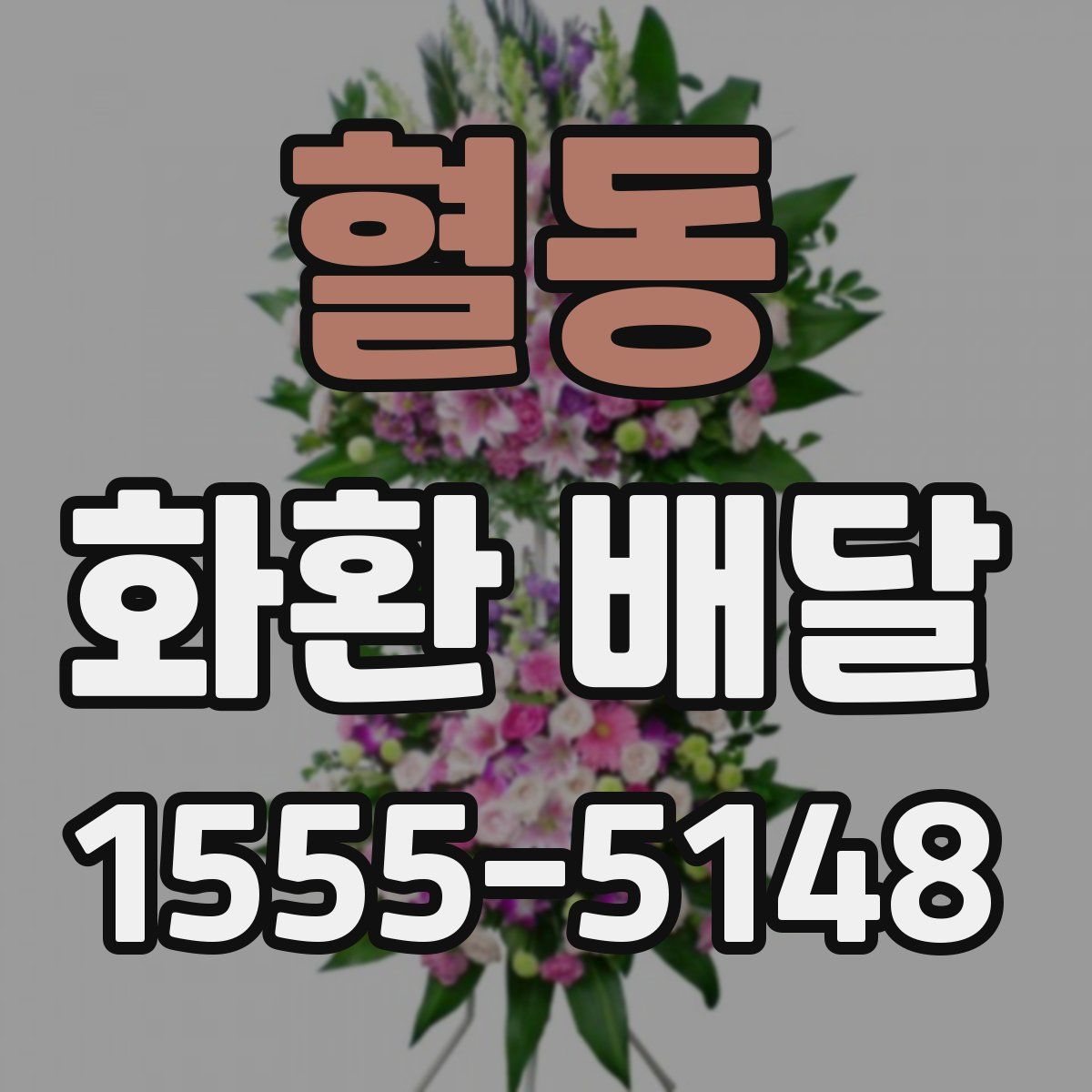 혈동 화환 배달