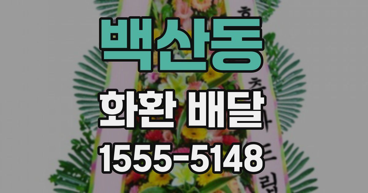 백산동 화환 배달