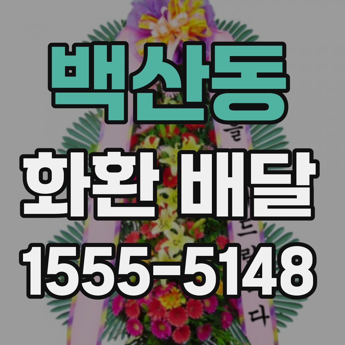 백산동 화환 배달