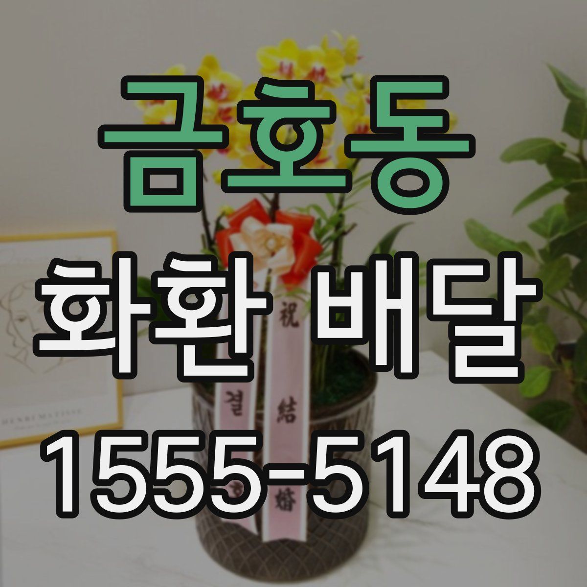 금호동 화환 배달