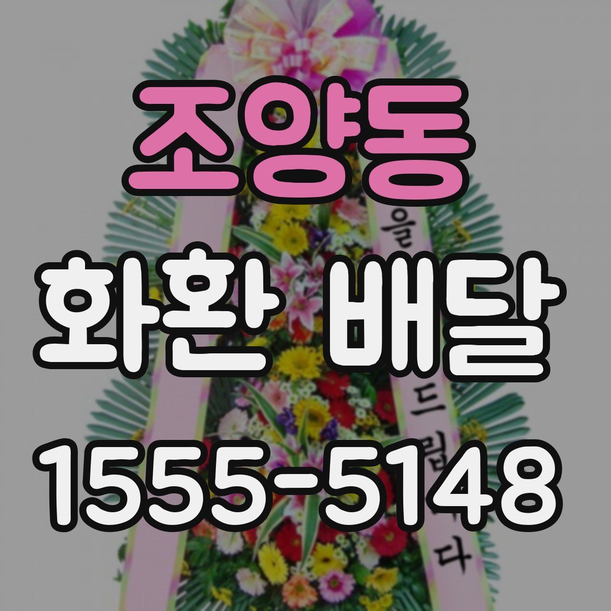 조양동 화환 배달