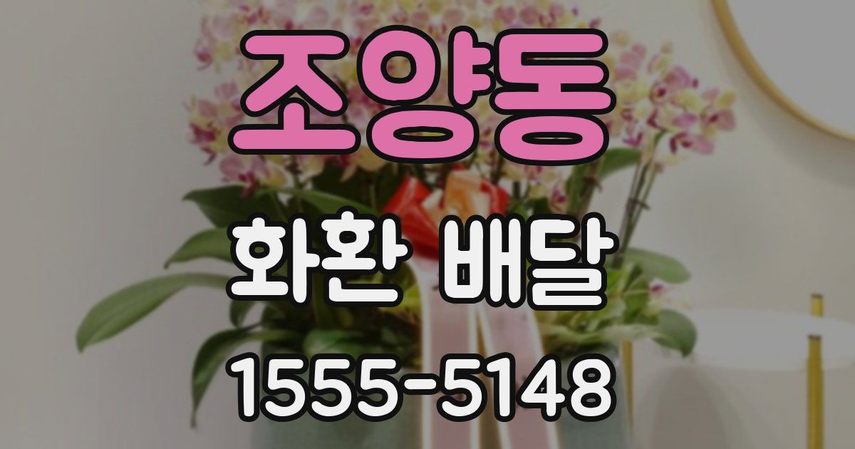 조양동 화환 배달