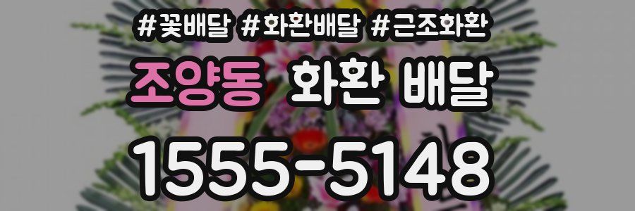 조양동 화환 배달