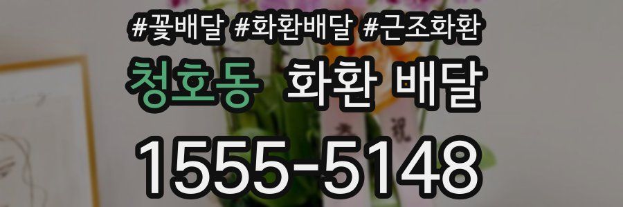 청호동 화환 배달