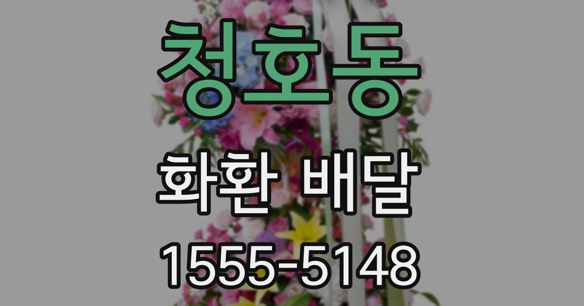 청호동 화환 배달