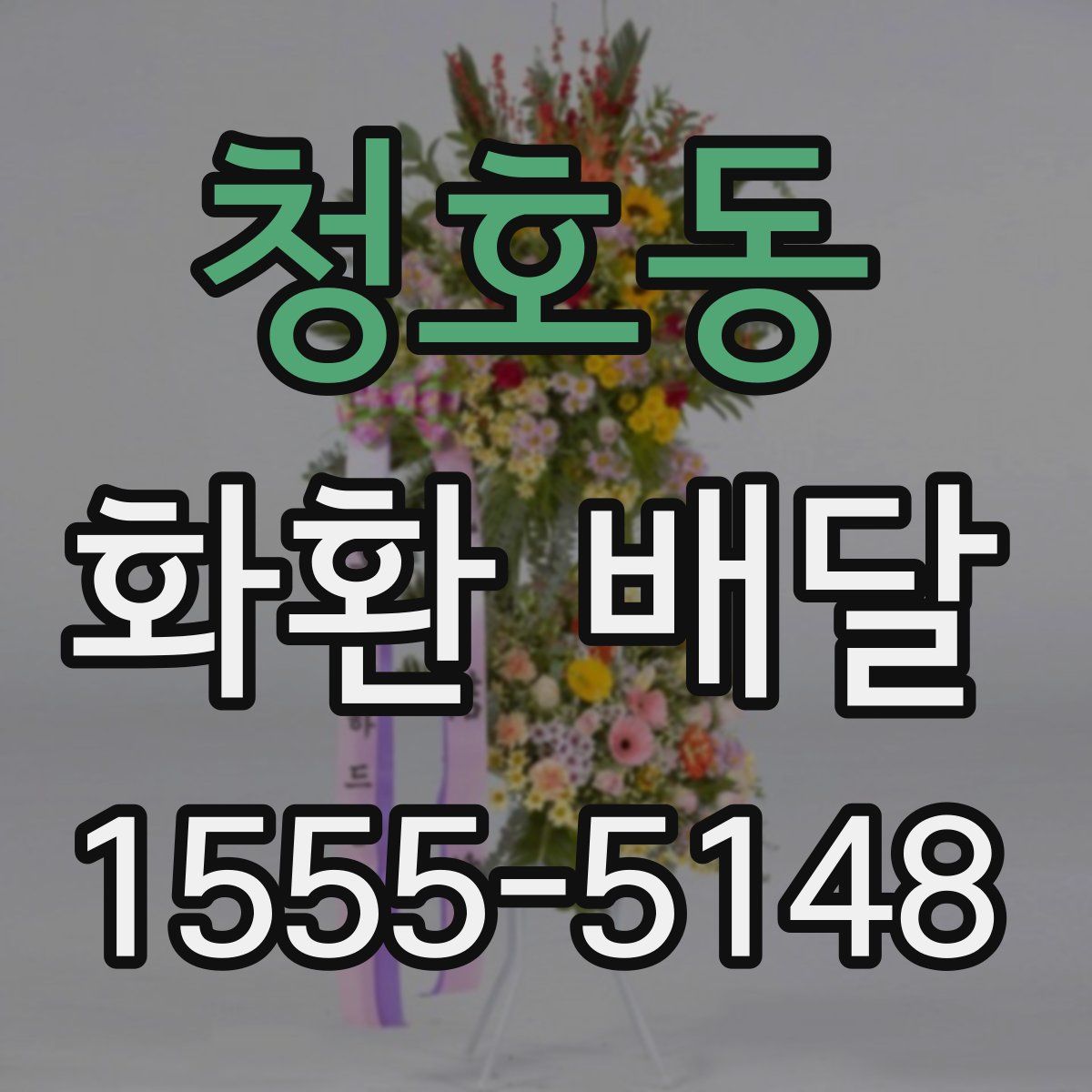청호동 화환 배달