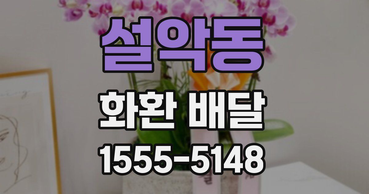 설악동 화환 배달