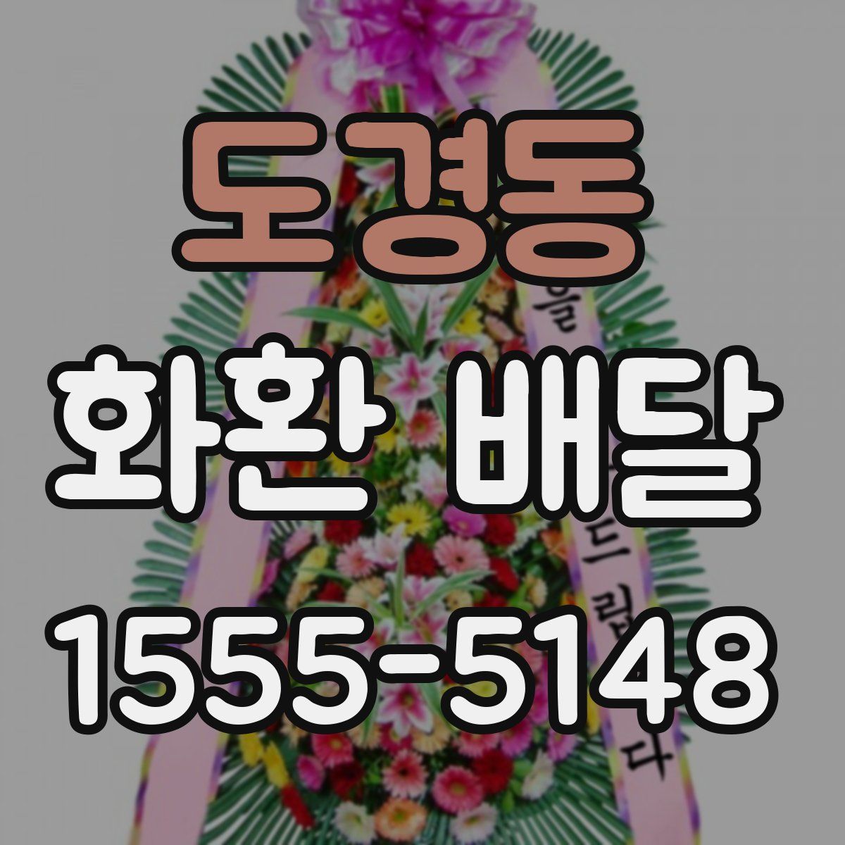 도경동 화환 배달