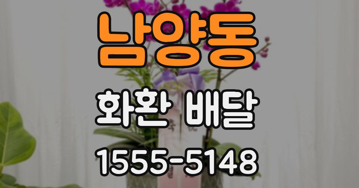 남양동 화환 배달