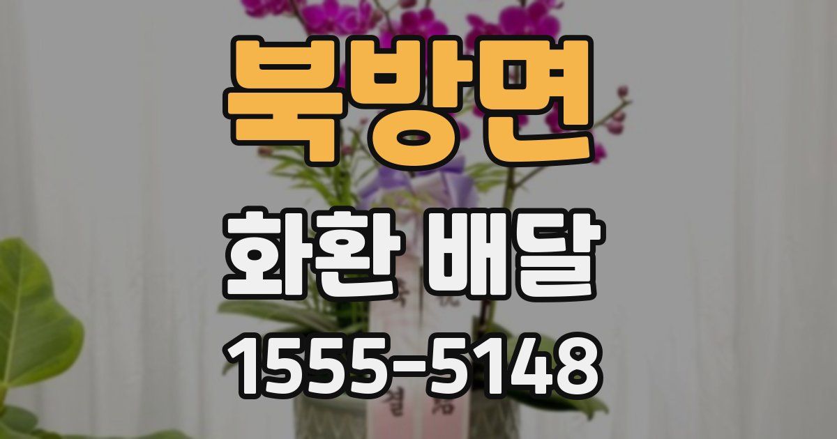 북방면 화환 배달