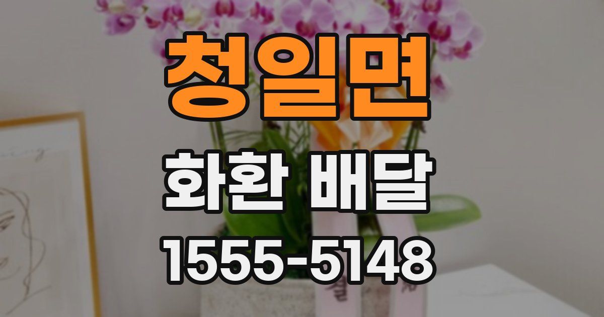 청일면 화환 배달