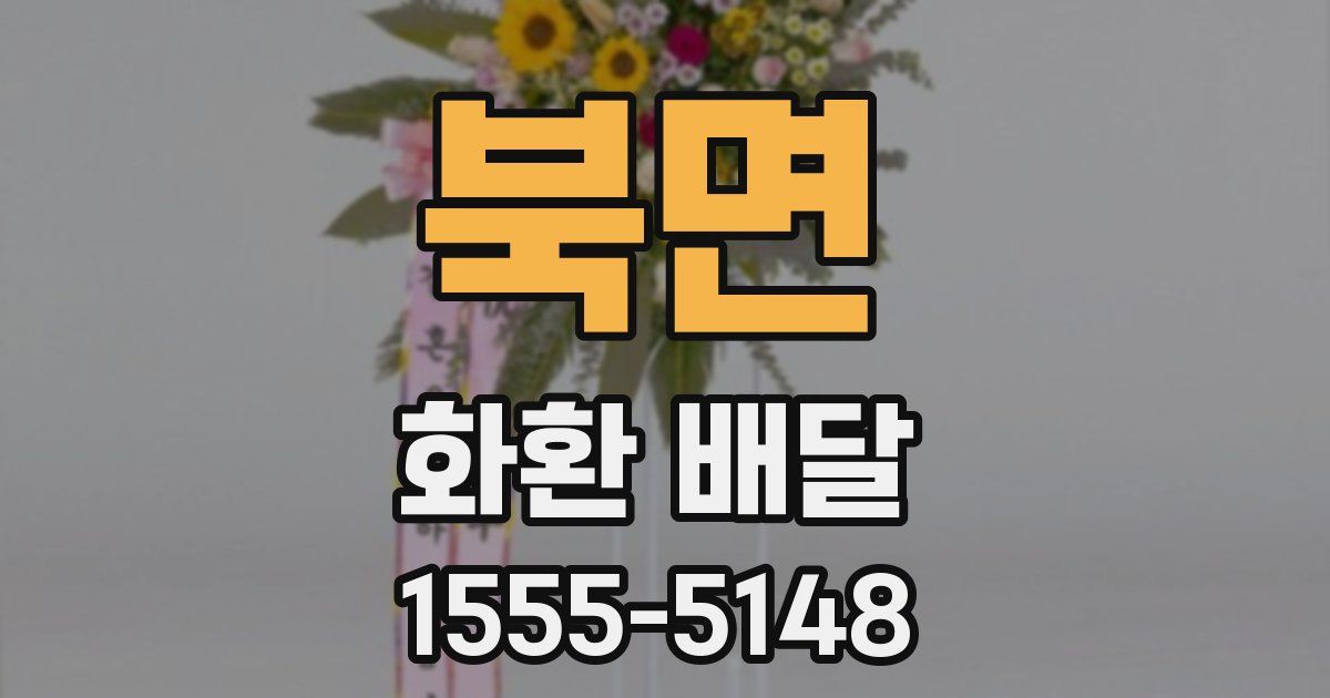 북면 화환 배달