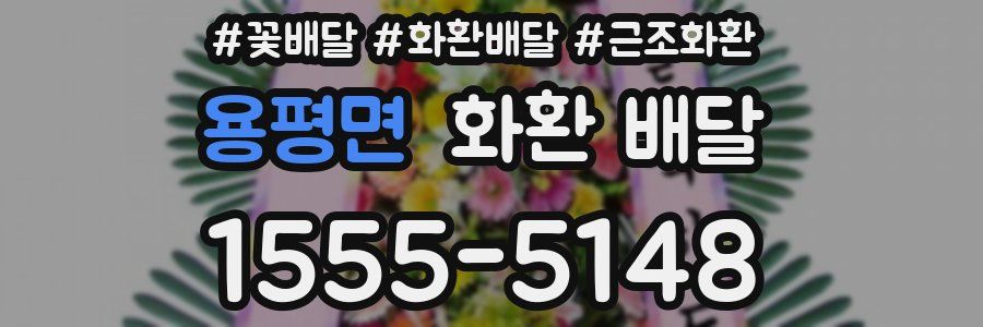 용평면 화환 배달