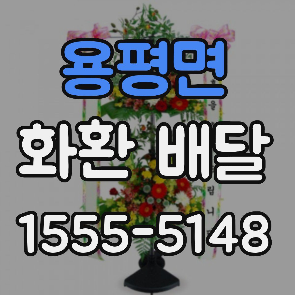용평면 화환 배달