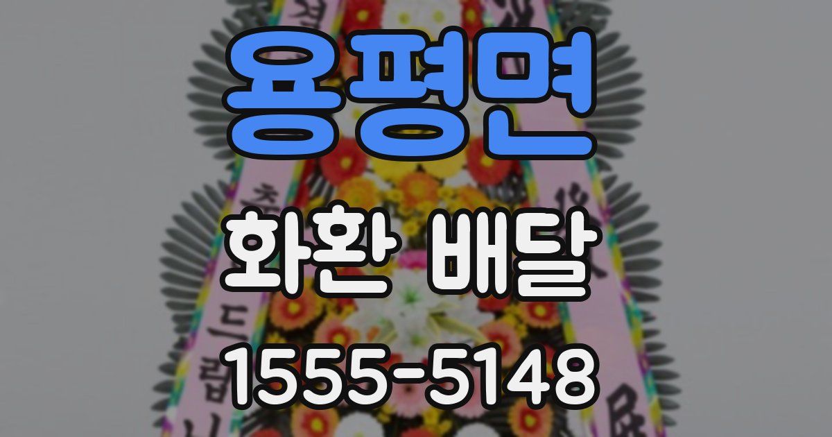 용평면 화환 배달