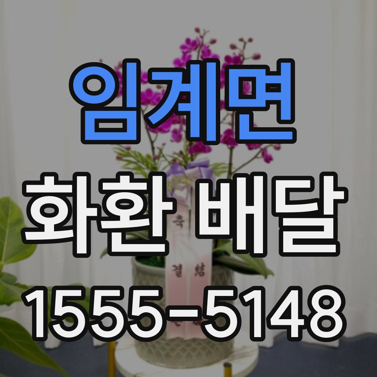 임계면 화환 배달