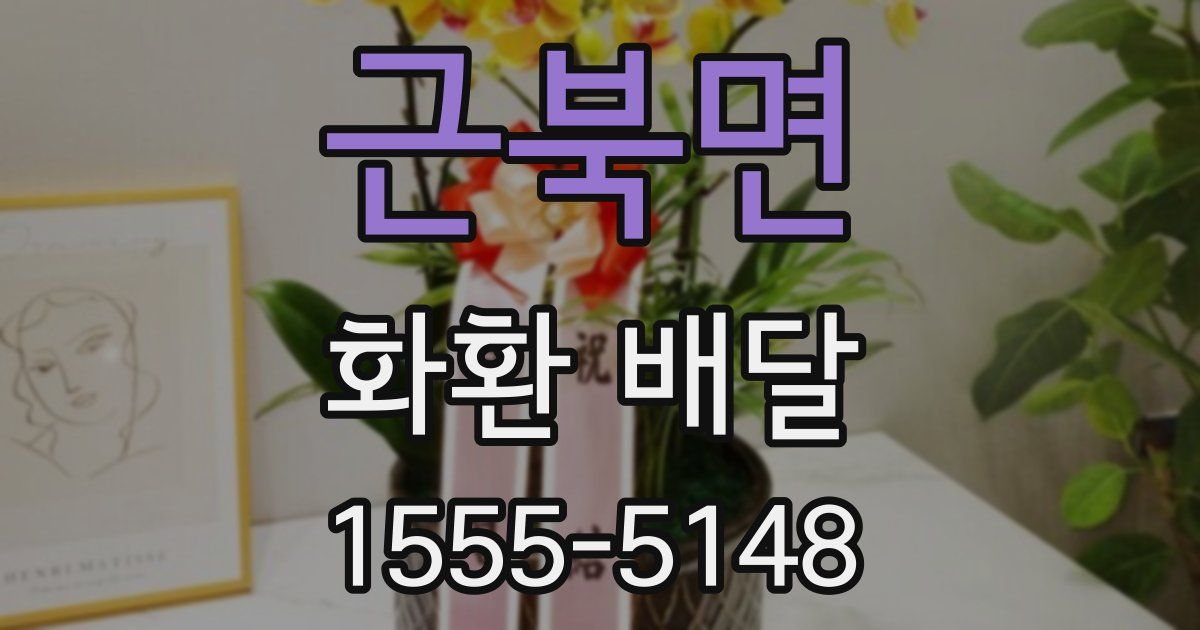 근북면 화환 배달