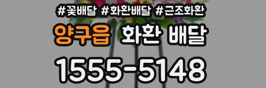 양구읍 화환 배달