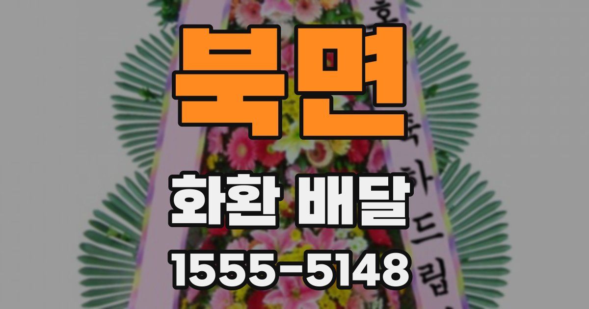 북면 화환 배달