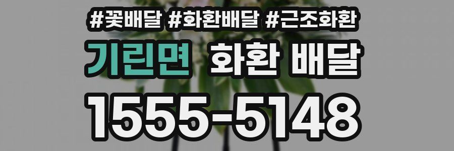기린면 화환 배달