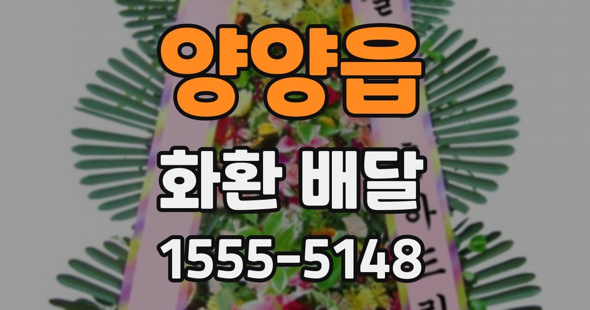 양양읍 화환 배달