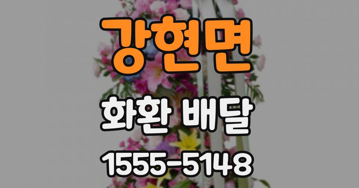 강현면 화환 배달
