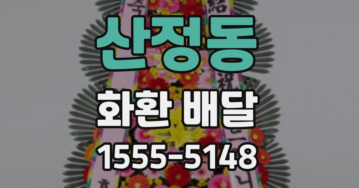 산정동 화환 배달