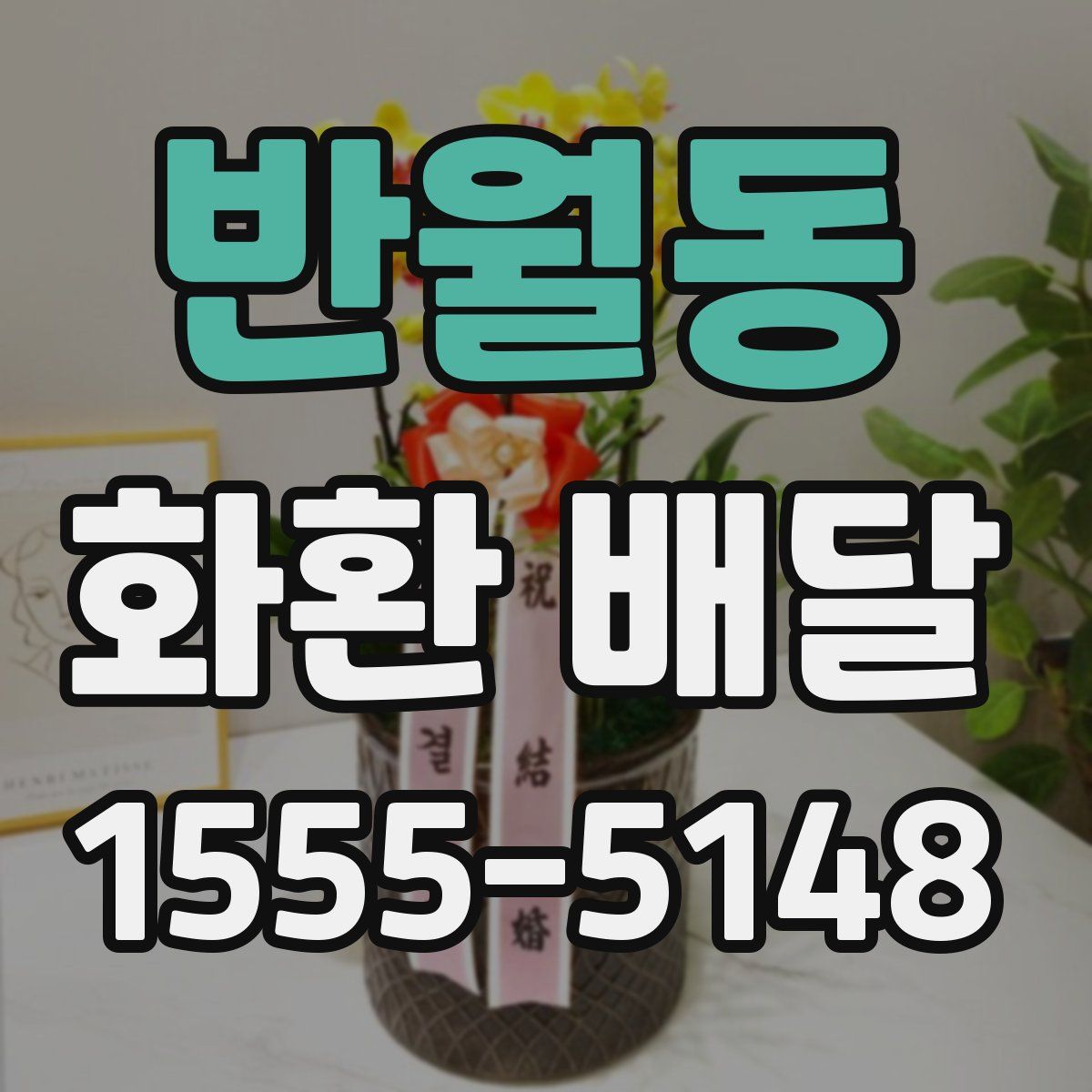 반월동 화환 배달
