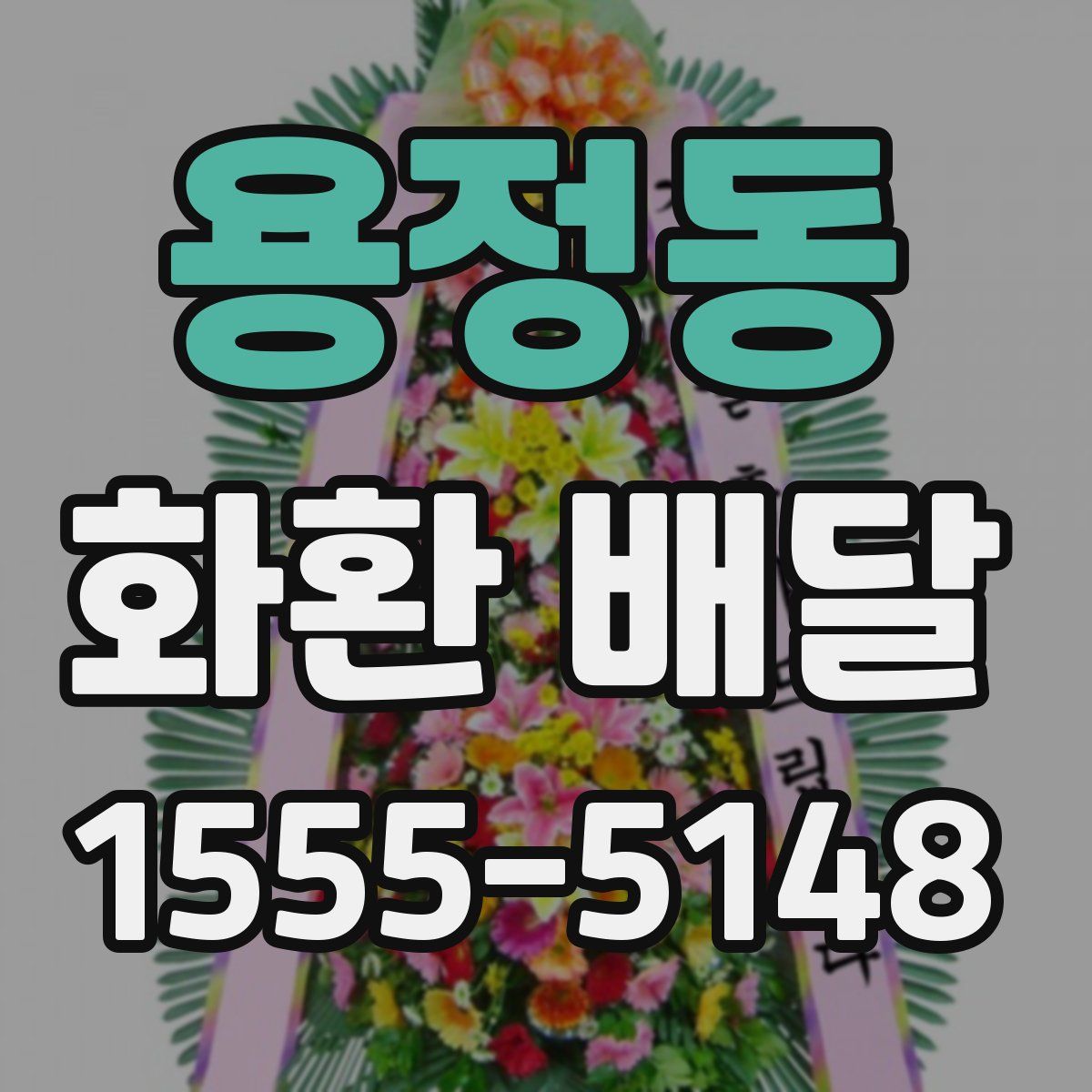 용정동 화환 배달