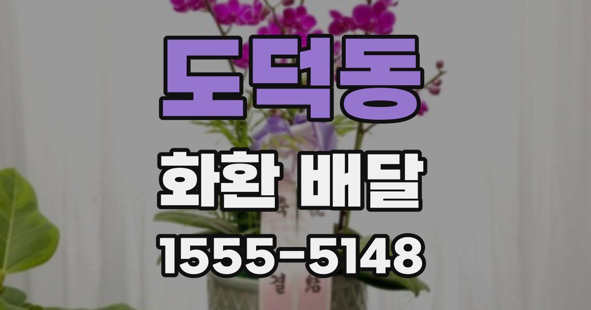 도덕동 화환 배달