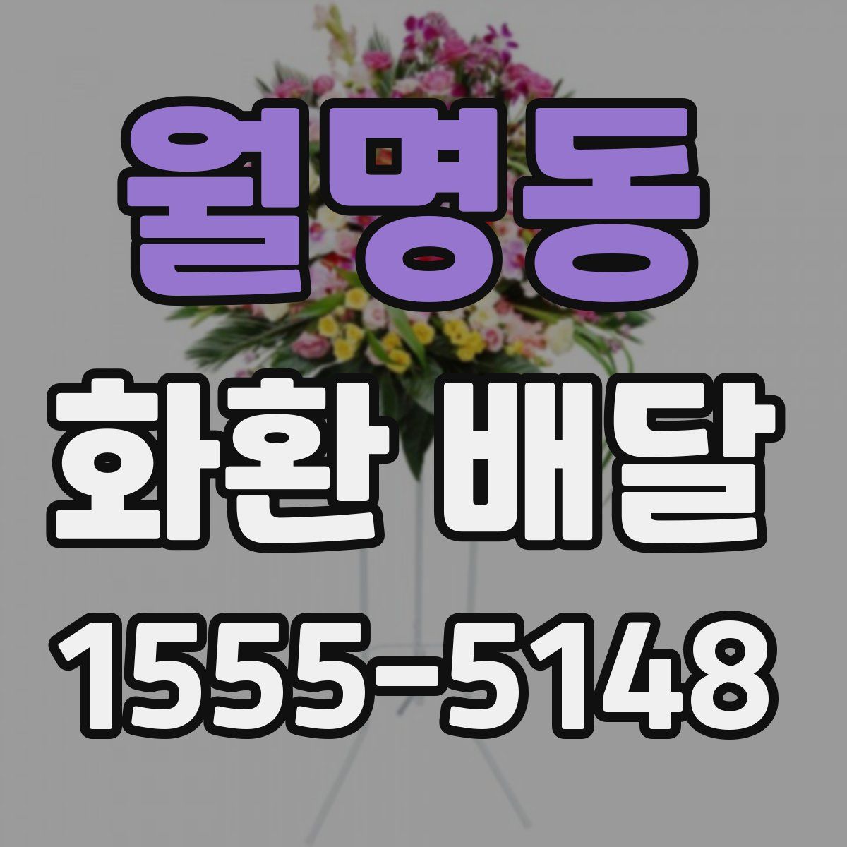 월명동 화환 배달
