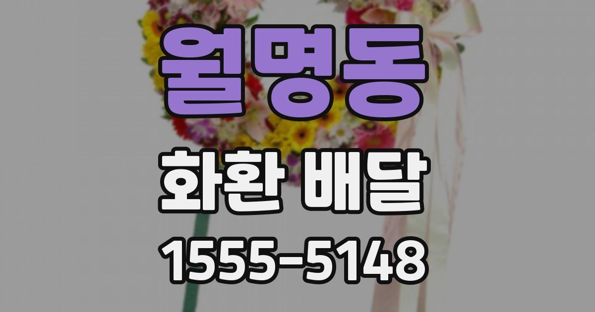 월명동 화환 배달