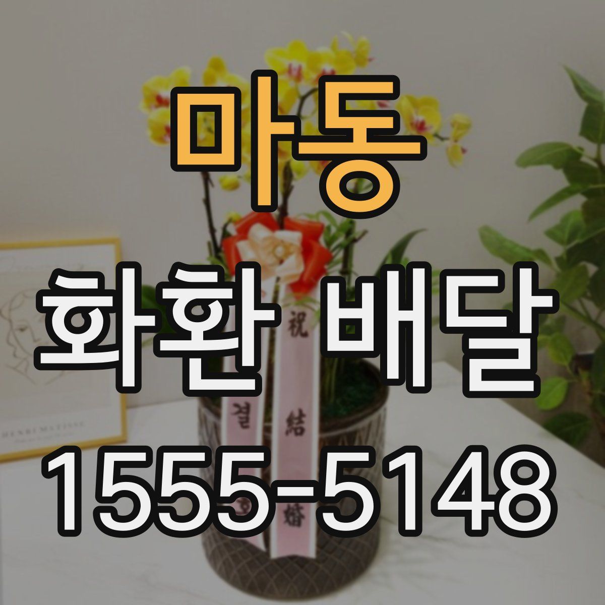마동 화환 배달