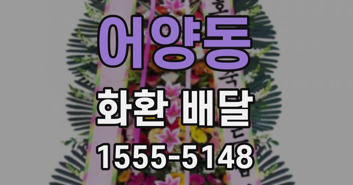 어양동 화환 배달
