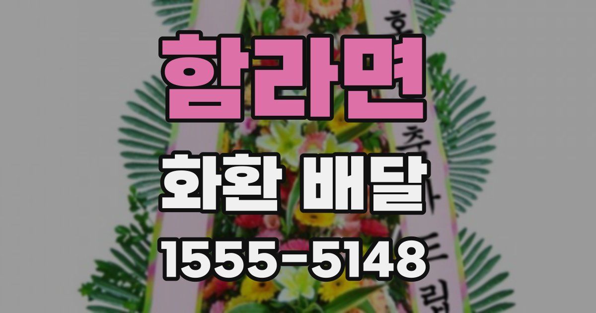 함라면 화환 배달