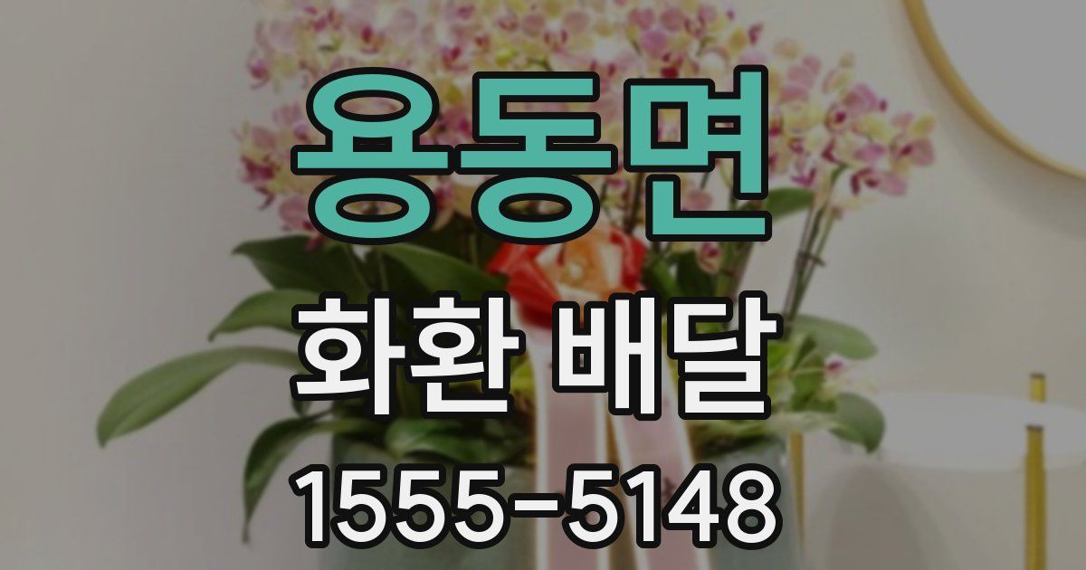 용동면 화환 배달
